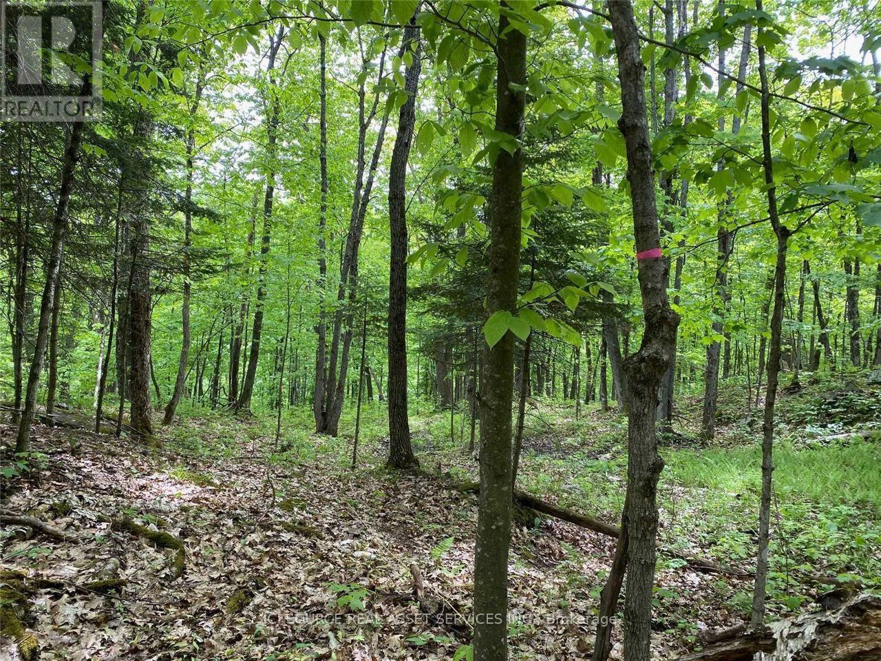 933 Ferguson Road, Armour, Ontario  P0A 1L0 - Photo 32 - X13033786