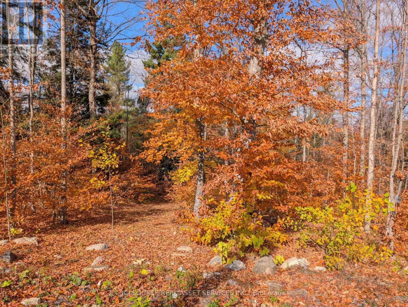 19 Shady Maple Road, Mcnab/braeside, Ontario  K0J 1G0 - Photo 18 - X13435762