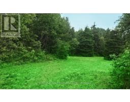 4 - 93 RYE ROAD, Parry Sound Remote Area, Ontario