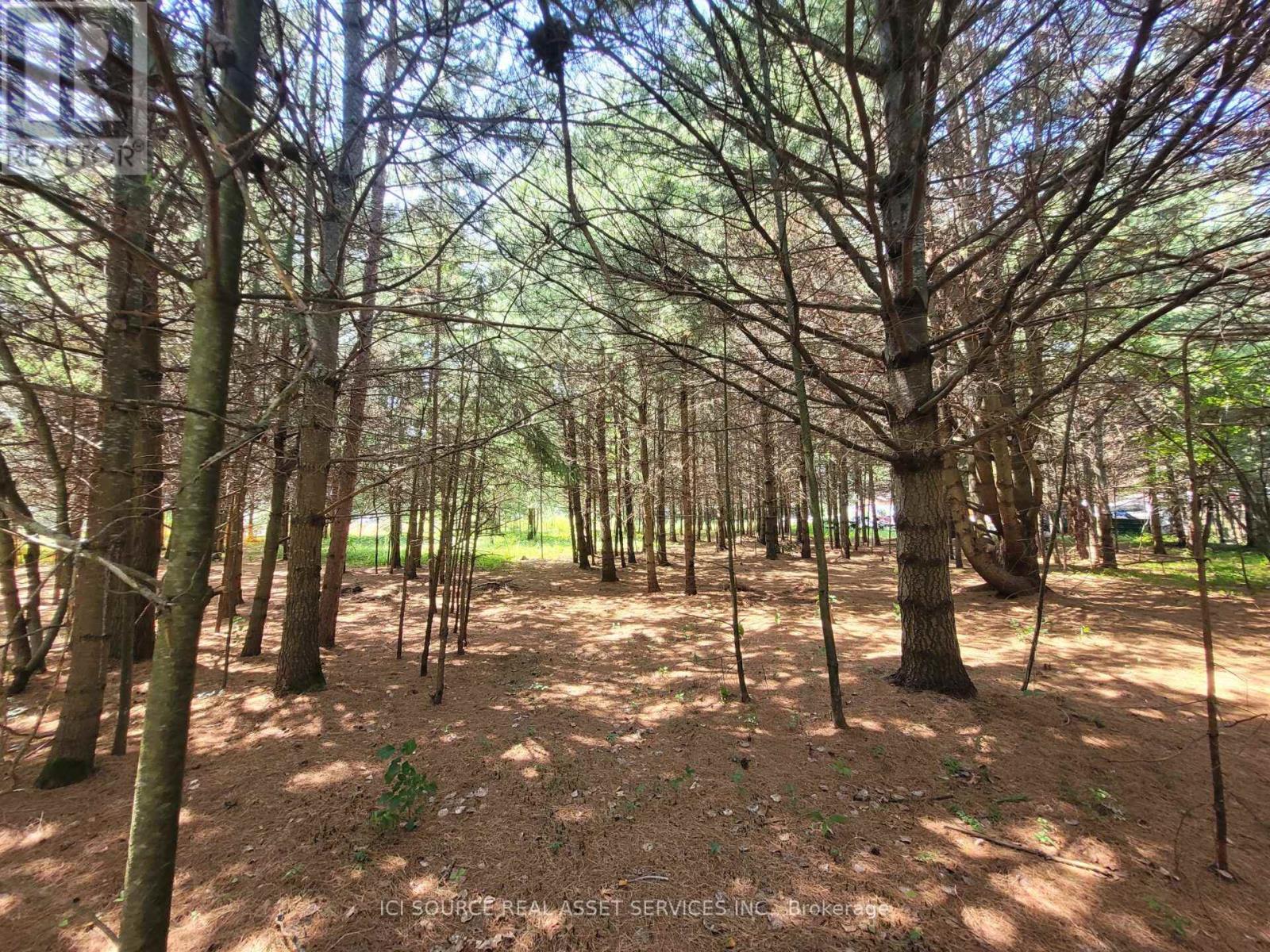 6 Grey Street, Sables-Spanish Rivers, Ontario  P0P 2G0 - Photo 3 - X13619744